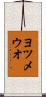 ヨツメウオ Scroll