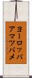 ヨーロッパアマツバメ Scroll