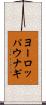 ヨーロッパウナギ Scroll