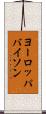 ヨーロッパバイソン Scroll