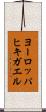 ヨーロッパヒキガエル Scroll