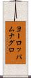 ヨーロッパムナグロ Scroll