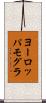 ヨーロッパモグラ Scroll