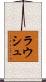 Rausch Scroll