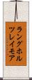ラングホルツレイモア Scroll