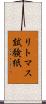 リトマス試験紙 Scroll