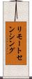 リモートセンシング Scroll