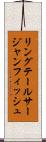 リングテールサージャンフィッシュ Scroll