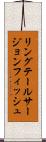 リングテールサージョンフィッシュ Scroll