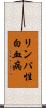 リンパ性白血病 Scroll