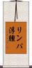 リンパ浮腫 Scroll