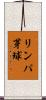 リンパ芽球 Scroll