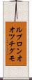 ルブロンオオツチグモ Scroll