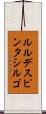 ルルデスピンタシルゴ Scroll