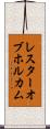 レスターオブホルカム Scroll