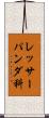 レッサーパンダ科 Scroll
