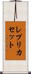 レプリカセット Scroll