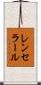 レンセラール Scroll