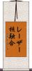 レーザー核融合 Scroll