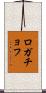 ロガチョフ Scroll