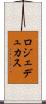 ロジェデュカス Scroll