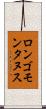 ロンゴモンタヌス Scroll