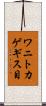 ワニトカゲギス目 Scroll