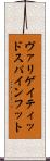 ヴァリゲイティッドスパインフット Scroll