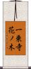 一乗寺花ノ木 Scroll