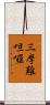 三摩難呾囉 Scroll