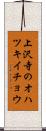 上沢寺のオハツキイチョウ Scroll