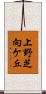 上野芝向ケ丘 Scroll