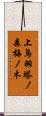 上鳥羽塔ノ森梅ノ木 Scroll