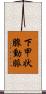 下甲状腺動脈 Scroll