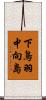 下鳥羽中向島 Scroll