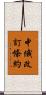 中俄改訂條約 Scroll