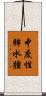 中度性肺水腫 Scroll