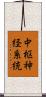 中枢神経系統 Scroll