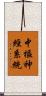 中樞神經系統 Scroll