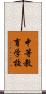 中等教育学校 Scroll