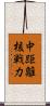 中距離核戦力 Scroll