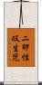 二卵性双生児 Scroll