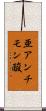 亜アンチモン酸 Scroll