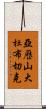 亞歷山大·杜布切克 Scroll