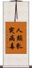 人類乳突病毒 Scroll