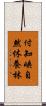 付知峡自然休養林 Scroll