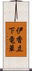 伊香立下竜華 Scroll