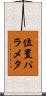 位置パラメタ Scroll
