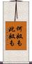 何奴も此奴も Scroll