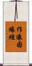 作像因緣經 Scroll